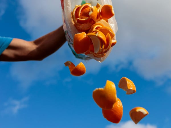 Etanoli – Liikenteen unohdettu ekoteko vai menneisyyden jäänne?